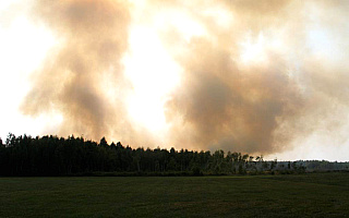 Rośnie zagrożenie pożarowe w lasach na Warmii i Mazurach